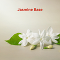 Jasmine Base