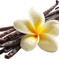 Vanilla Elixir Fragrance Oil
