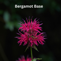 Bergamot Base